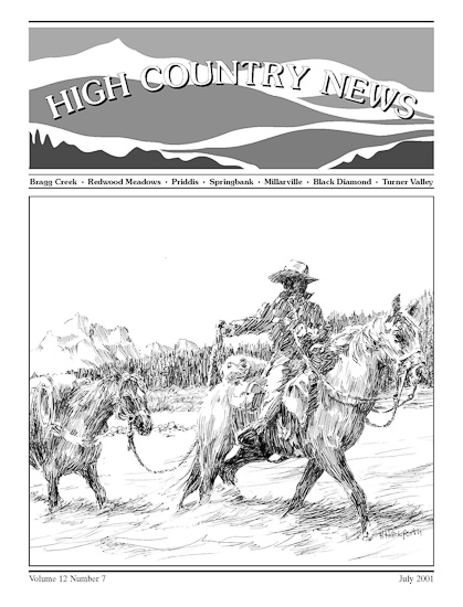 High Country News July 2001