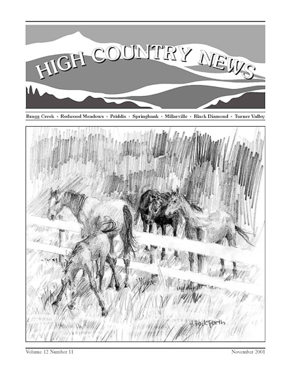 High Country News November 2001