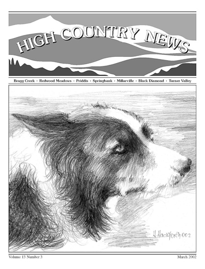 High Country News March 2002