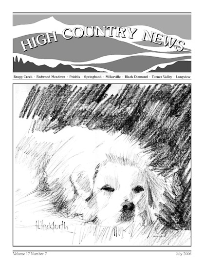 High Country News July 2006