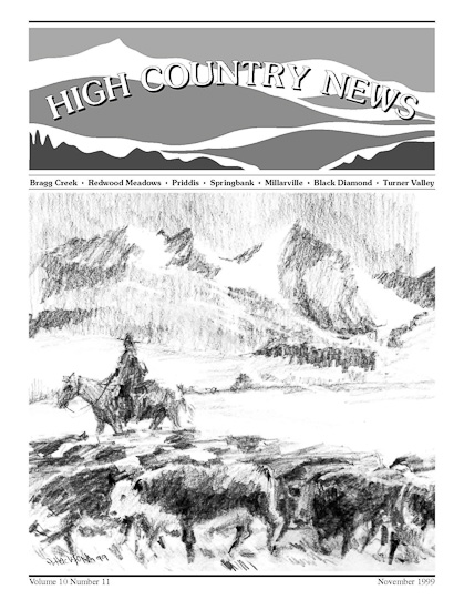 High Country News November 1999